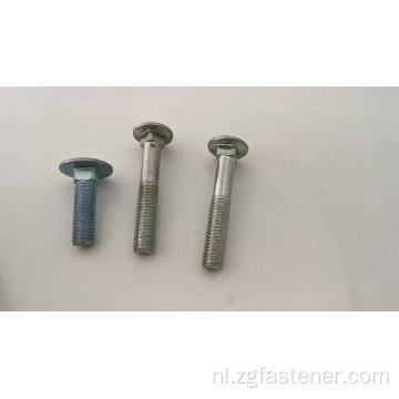 Hot Dompleed Gegalvanised Carriage Bolts M3
